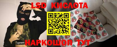 крисы Новодвинск