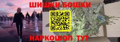 крисы Новодвинск