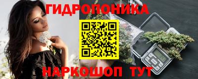 крисы Новодвинск