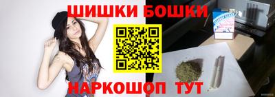 крисы Новодвинск