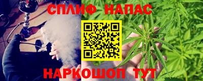 крисы Новодвинск