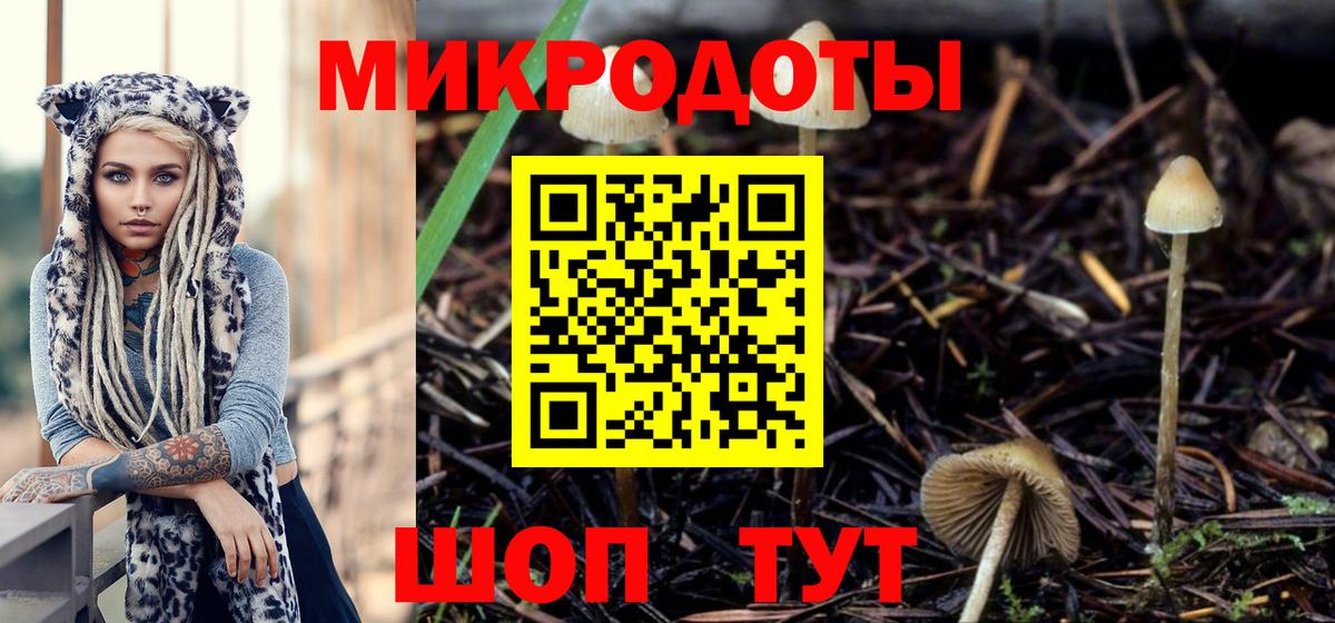 Псилоцибиновые грибы мухоморы Великие Луки